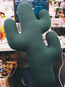 Cactus Pillow