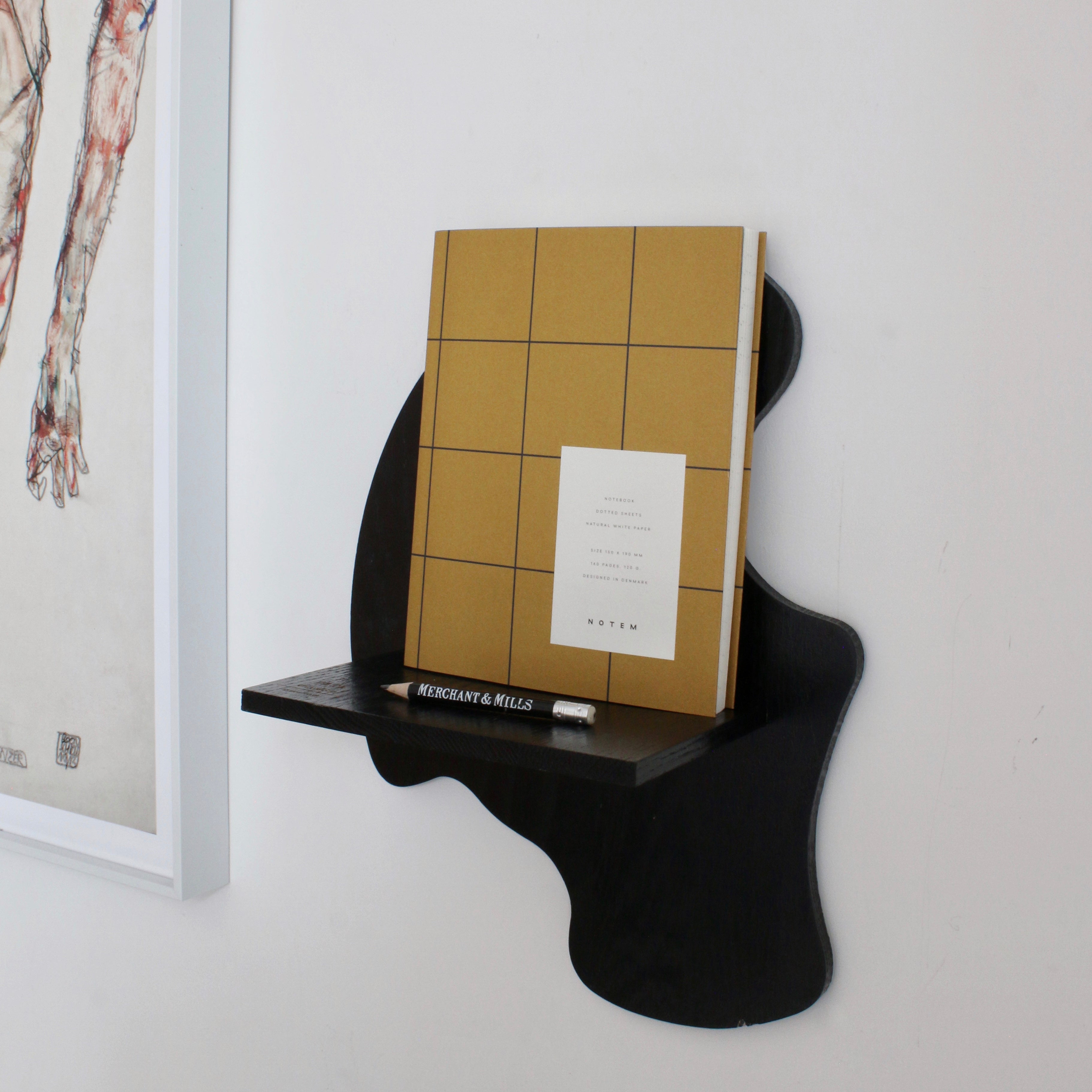 Curvy Wall Hung Display Shelve
